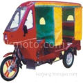 Passenger Tricycle